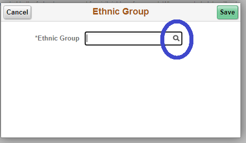 Image of Ethnic Group Search box with icon circled