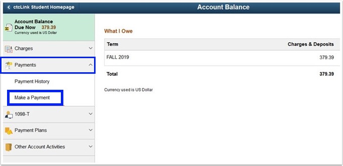 Payments are on the left side of the page.  From the drop down we see payment history then Make a payment.