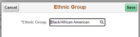 Image of selection of Ethnic Group with Save button