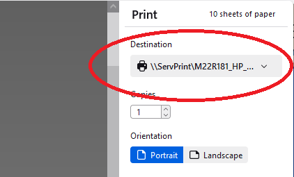 Cropped image of printer settings window, focused on printer selection drop down menu, which is circled in red