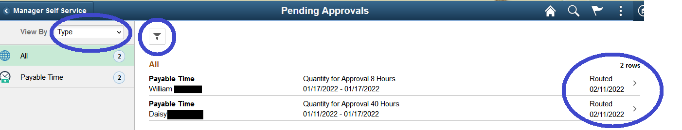 Image of pending approval page with filter and rows circled