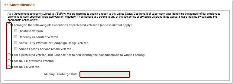 Image of Self Identification statement for Veteran Status